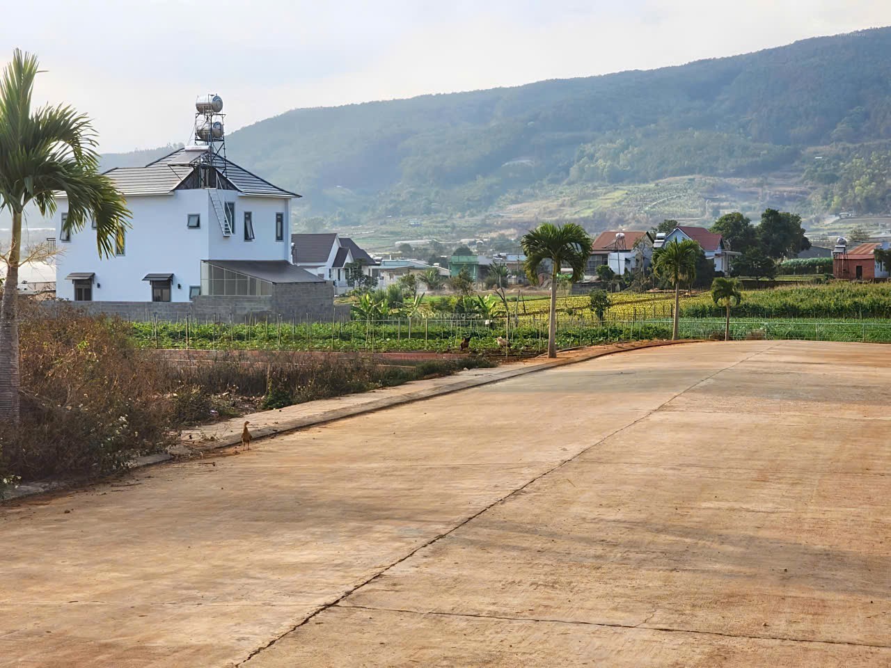 Bán 113,5m2 Đất sổ riêng - Xã hiệp Thạnh - Đức Trọng - Lâm Đồng giá 1 tỷ 390tr 2