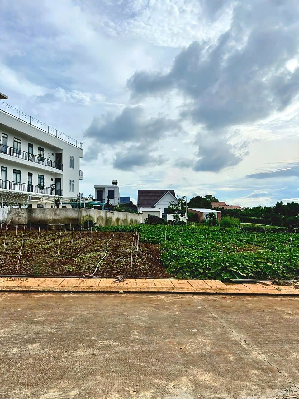 Bán 113,5m2 Đất sổ riêng - Xã hiệp Thạnh - Đức Trọng - Lâm Đồng giá 1 tỷ 390tr 4