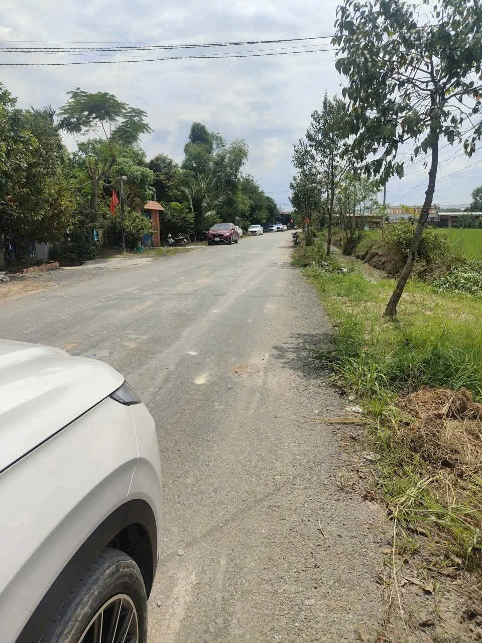 Bán đất lúa mặt tiền đường Bàu Sen , xã Đức Lập Hạ dt 1000m2 giá 4 tỷ