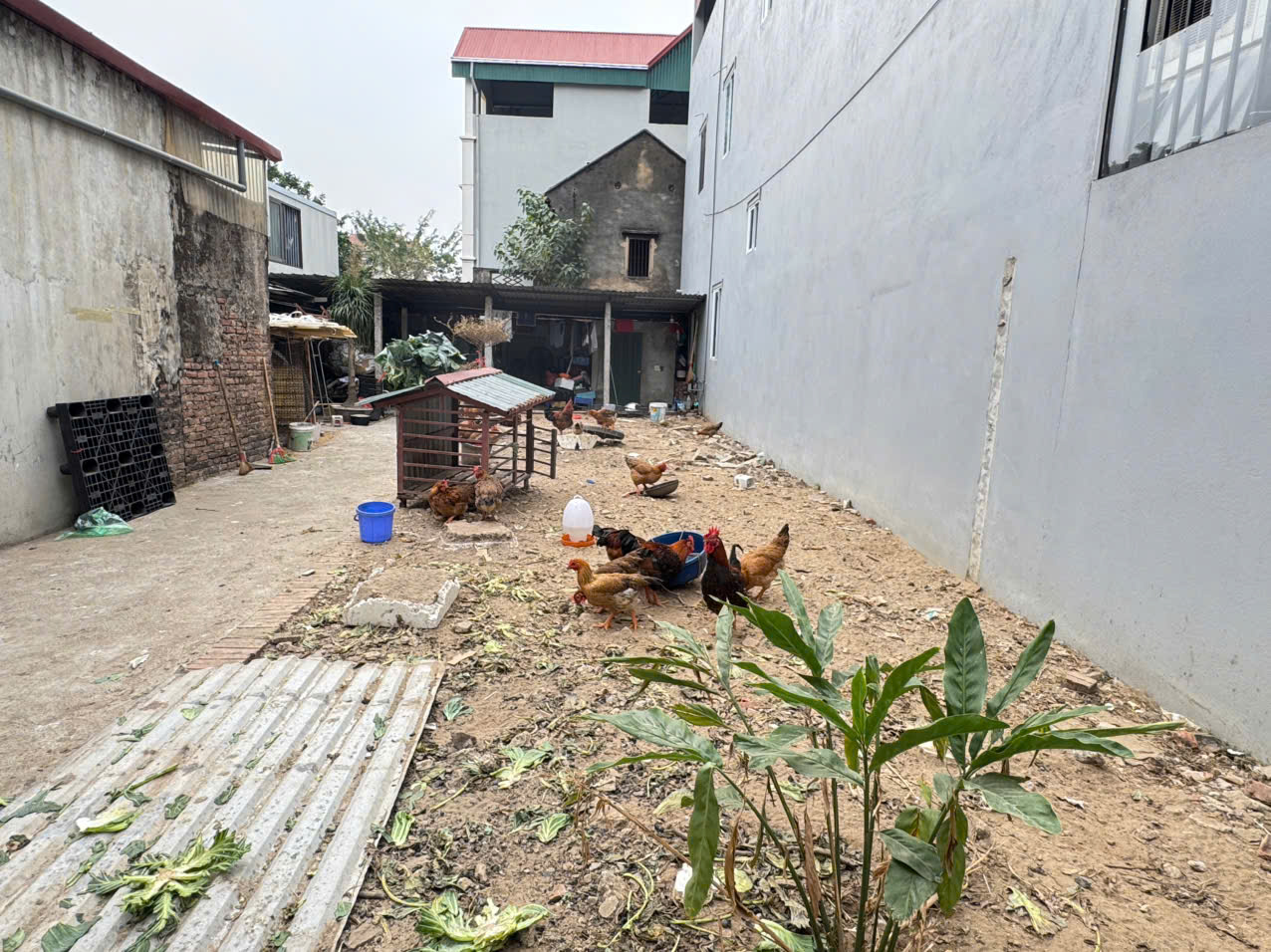 Hiếm có, 60m đất hai mặt thoáng gần chợ Chi Đông, Mê Linh. Bán kính 500m tiện ích bạt ngàn 3