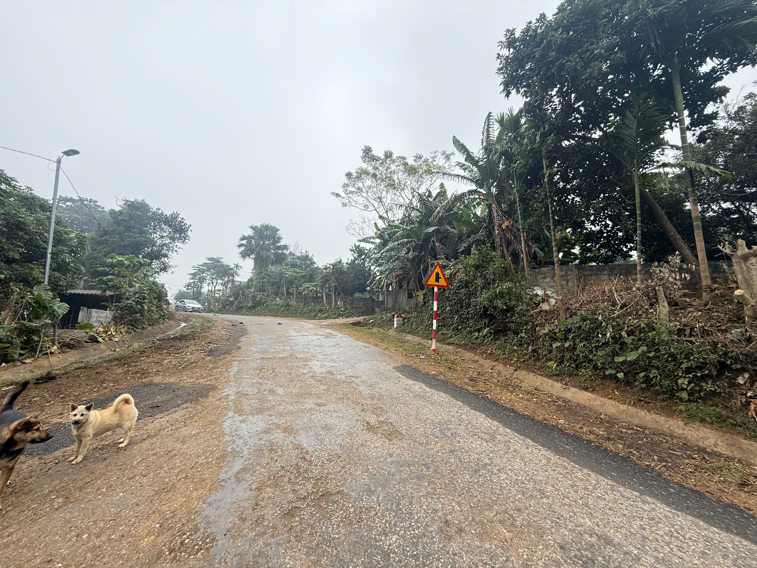 Cần bán Đất đường Quốc Lộ 12B, Xã Hợp Kim, Diện tích 90m², Giá 350 Triệu 3