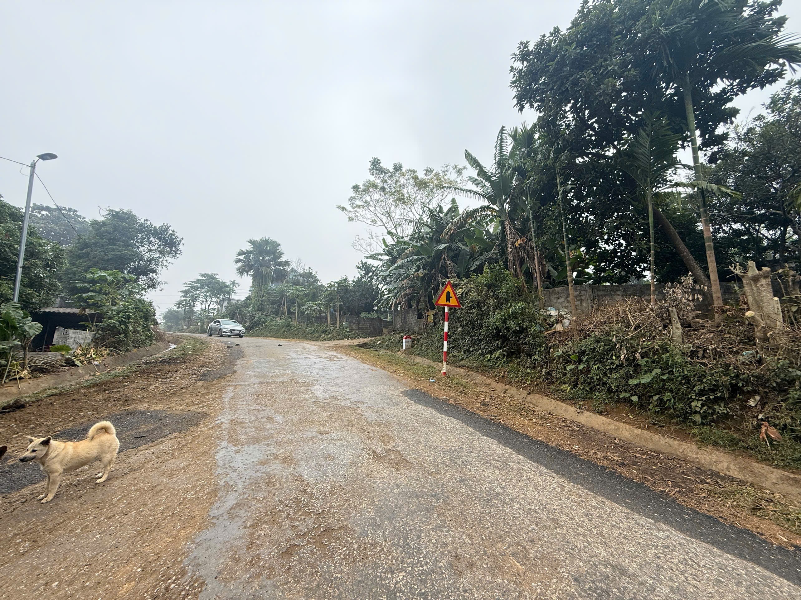 Cần bán Đất đường Quốc Lộ 12B, Xã Hợp Kim, Diện tích 90m², Giá 350 Triệu 5