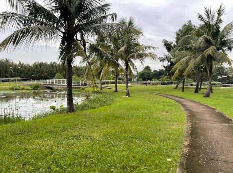 Cho thuê Nhà mặt tiền Phường Phú Hữu, Quận 9, Diện tích 75m², Giá Thương lượng 4