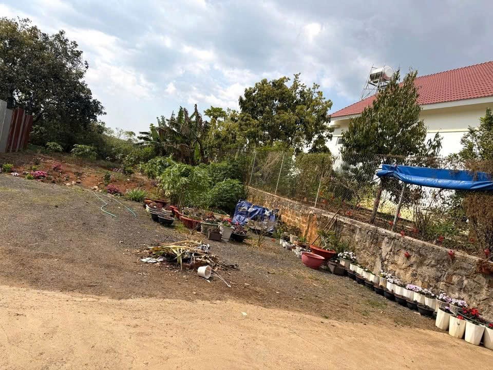 Bán 369,3m2 Đất - Đức Trọng - Lâm Đồng gần trung tâm giá 4 tỷ 3 2