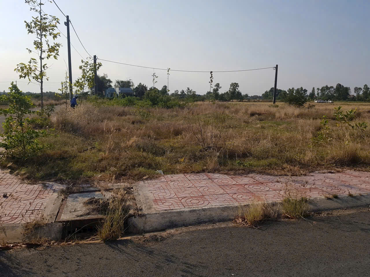 Nền góc 146m2 kdc Tân Lân 5 Hiệp chủ cần bán giá rẻ 1 tỏi 6 2