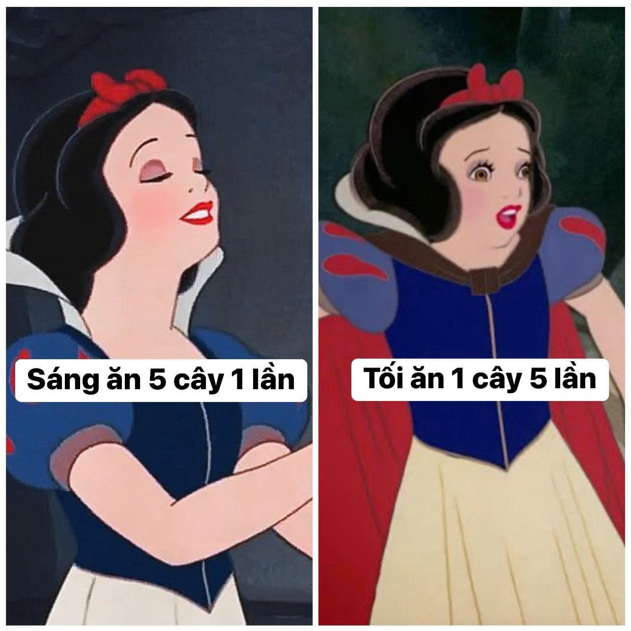 Cho thuê Nhà mặt tiền Phường Cô Giang, Quận 1, Diện tích 60m², Giá 52 Triệu/tháng 3