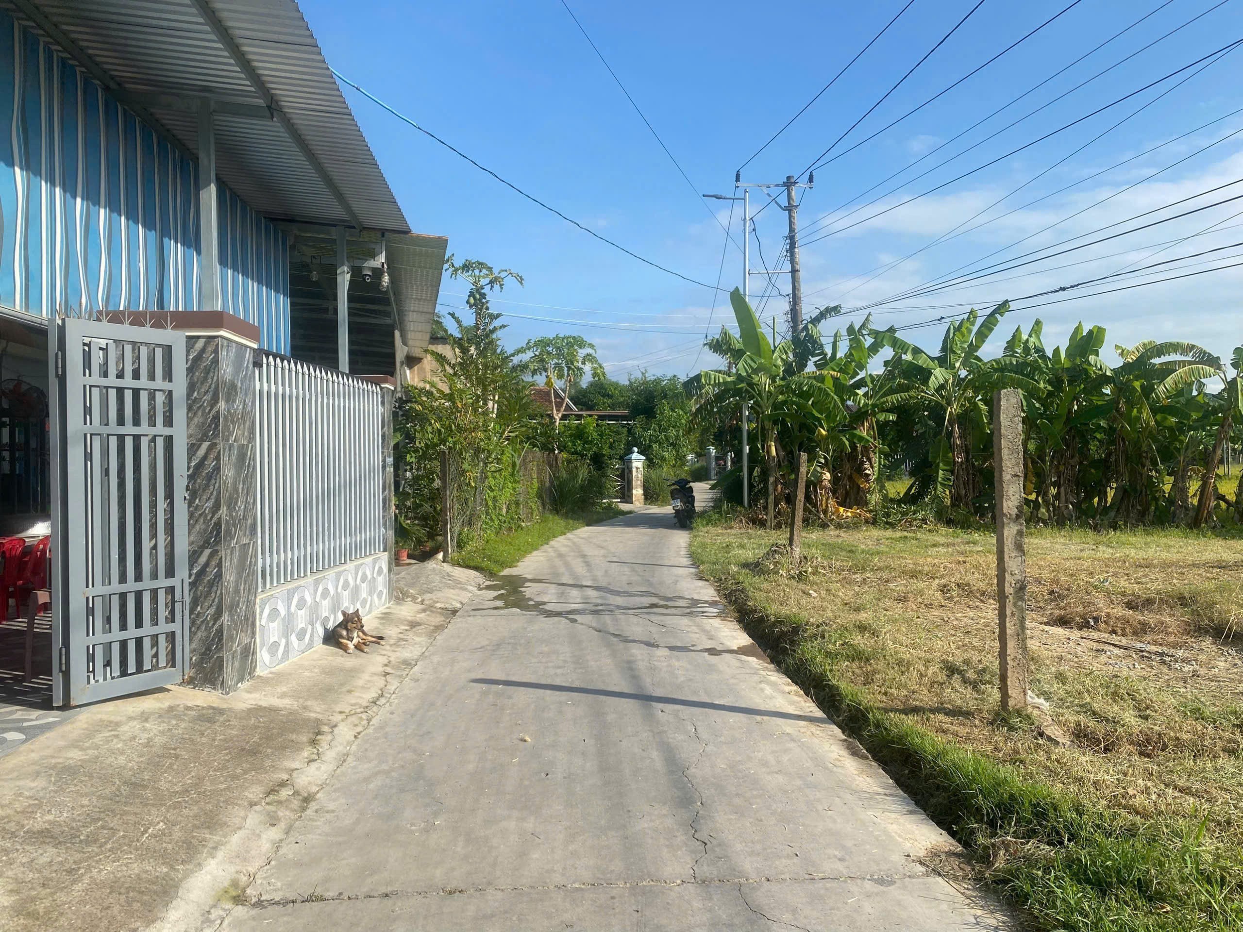 Cần bán Đất đường 1, Xã Ninh Phụng, Diện tích 159m², Giá 470 Triệu 7