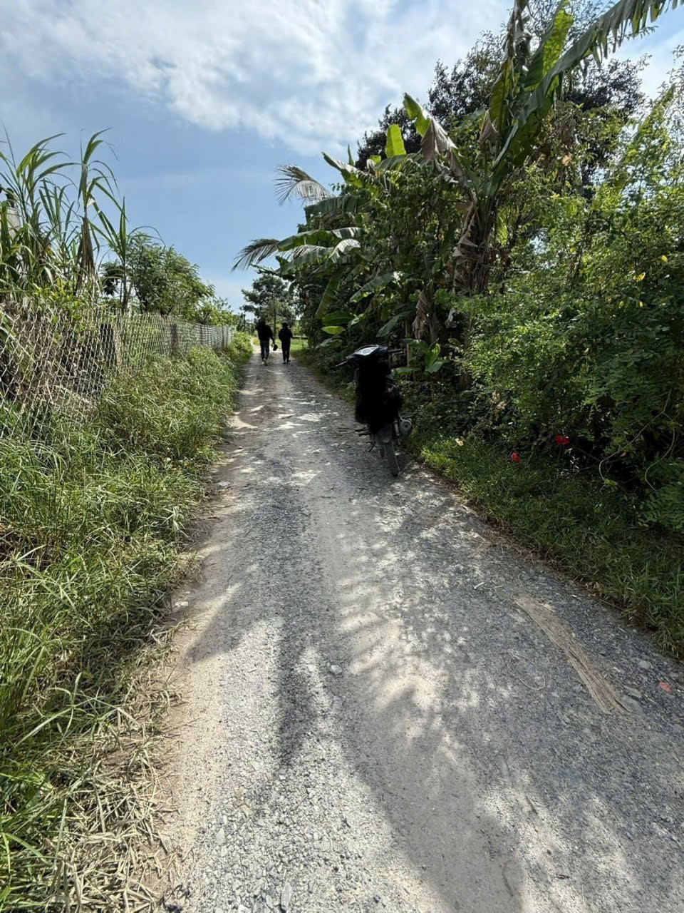 Bán đất thổ cư Đức Hòa Thượng , dt 153m2 , đường đá xanh 4m giá 870 triệu 2