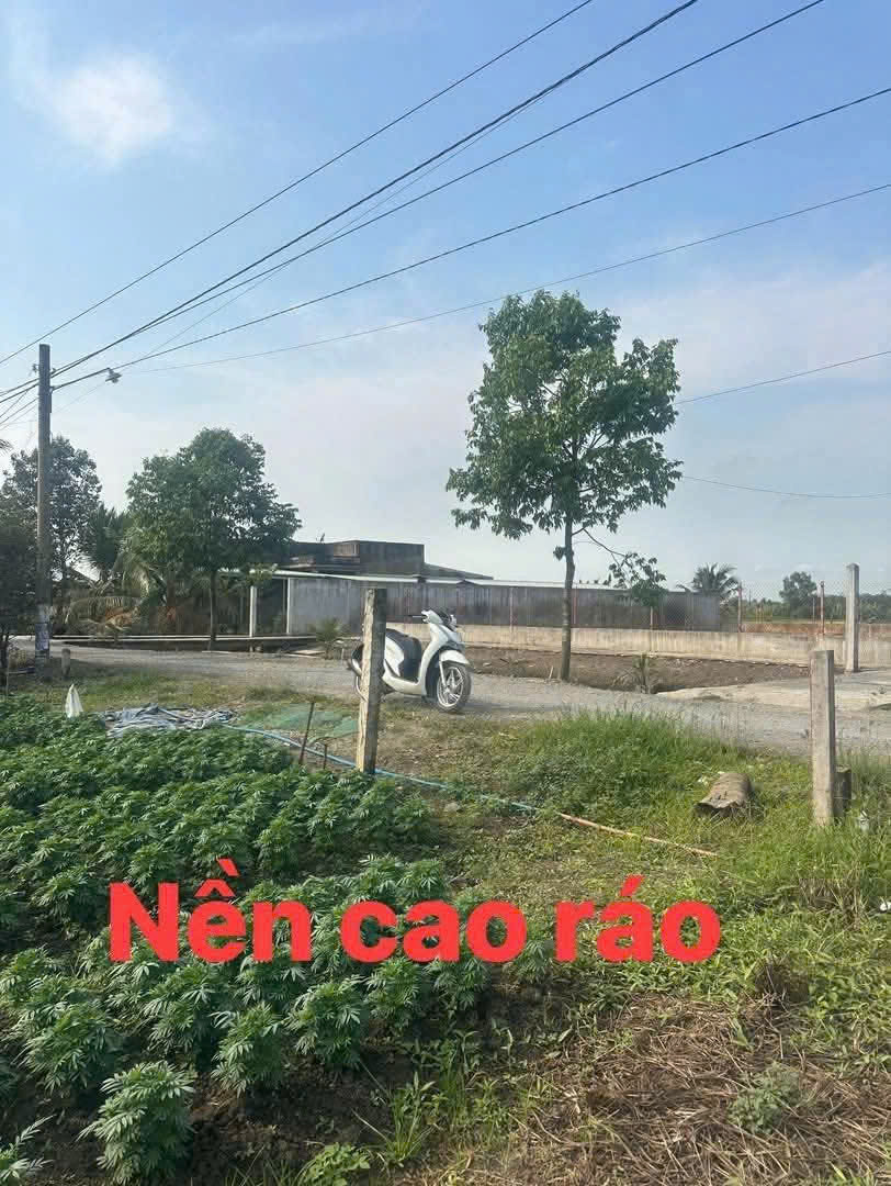 Bán đất thổ cư đường đá xanh xã Long Hòa , Cần Đước , dt 135m2 giá 1,05 tỷ