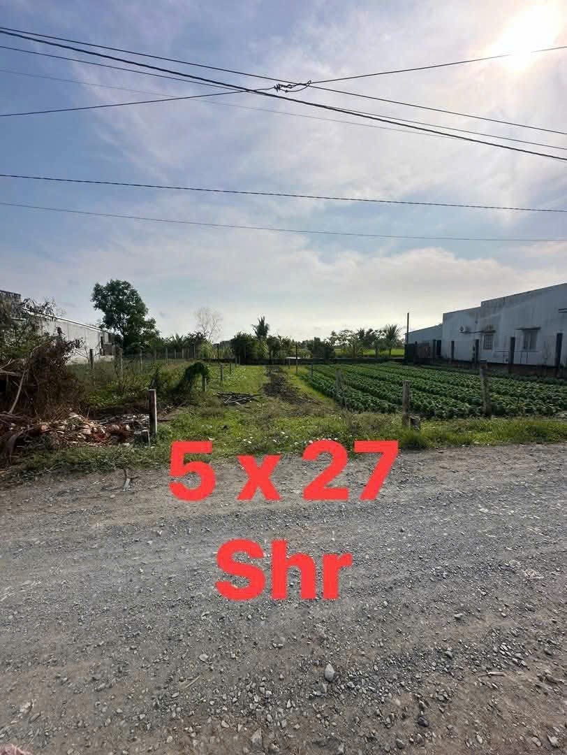 Bán đất thổ cư đường đá xanh xã Long Hòa , Cần Đước , dt 135m2 giá 1,05 tỷ 3