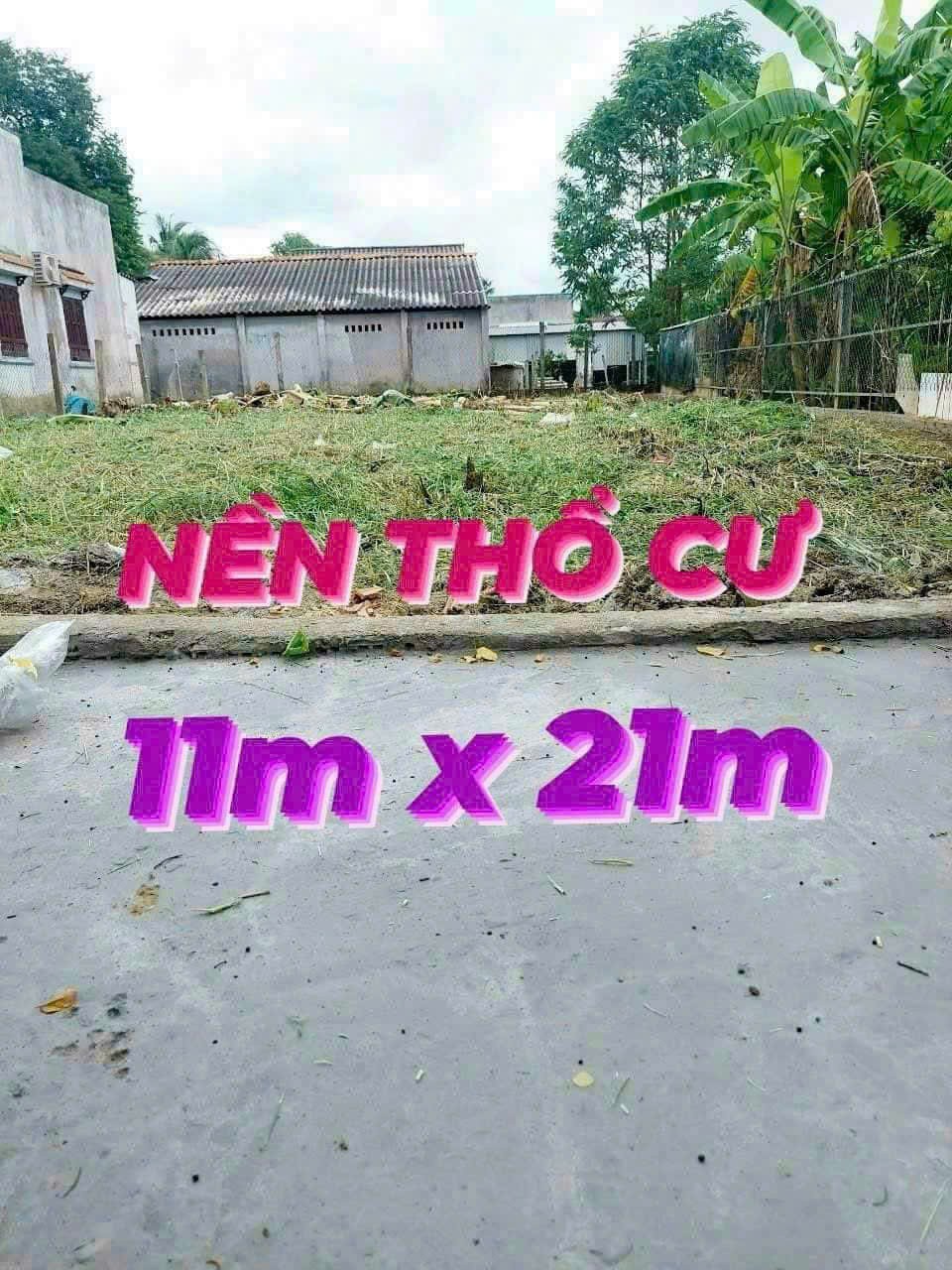 Bán đất thổ cư đường xe 3 gác xã Phước Vân , Cần Đước dt 230m2 giá chốt 1,5 tỷ 3