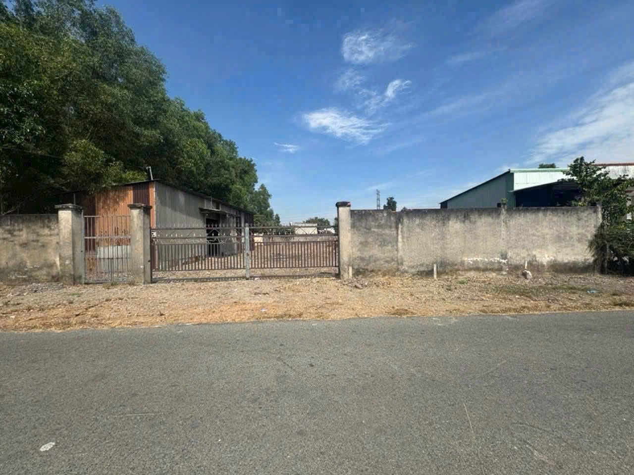 ĐẤT MT ĐƯỜNG 489 PHẠM VĂN CỘI, CỦ CHI - NGANG 25M – NỞ HẬU 1.372M² 2