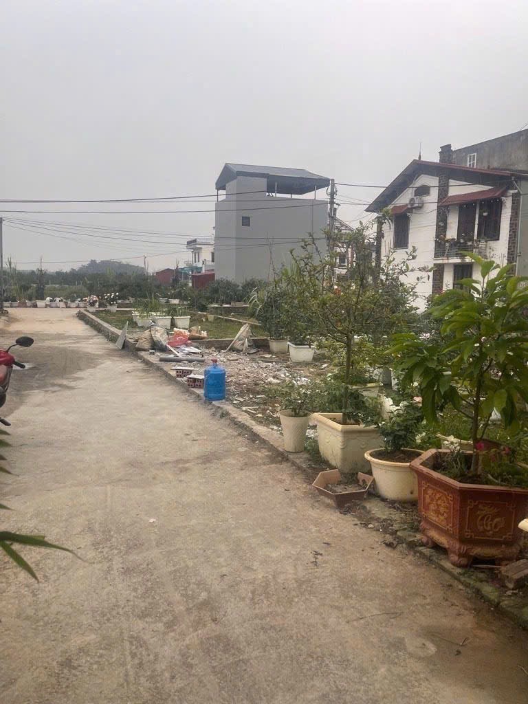 Chỉ 2,6 tỷ, tìm đâu ra lô đất 40m ở tổ 10, Quang Minh full thổ cư, đường rộng, oto đỗ đẹp thế này 2