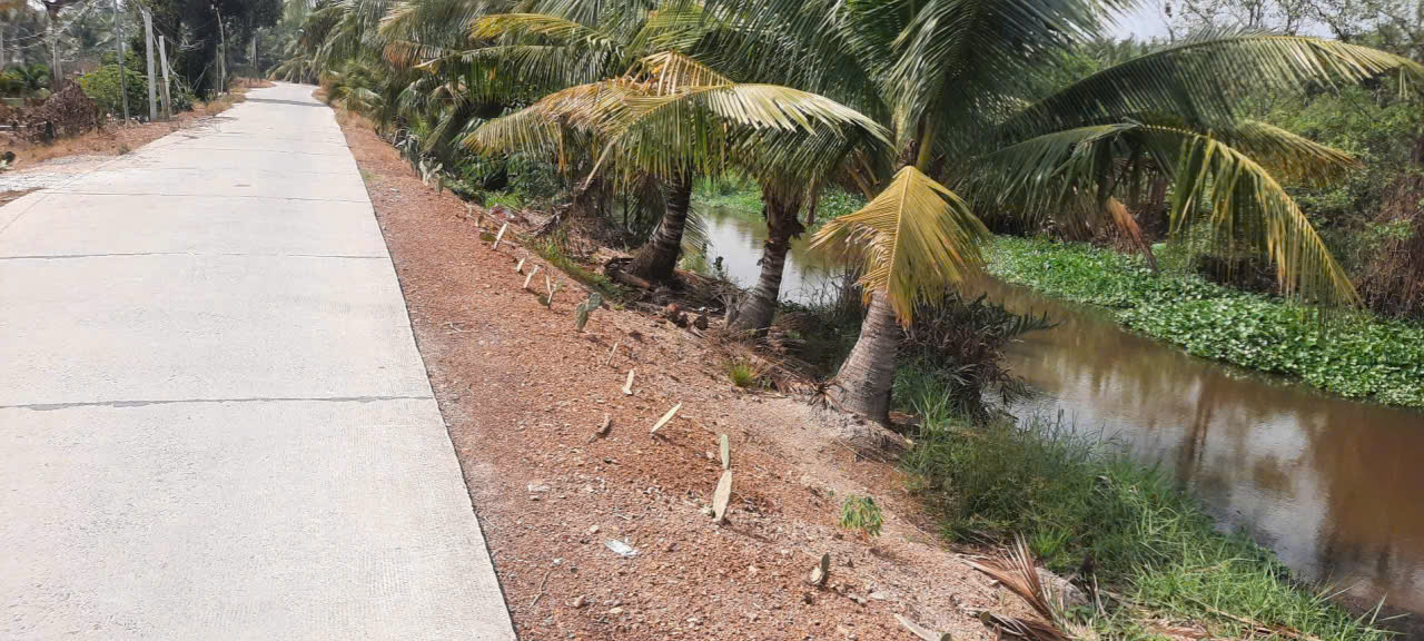 Bán đất mt đường beton liên ấp 5-6 xã Bình Đức dt 741m2 ( 200m2 thổ cư ) giá 1,75 tỷ 6