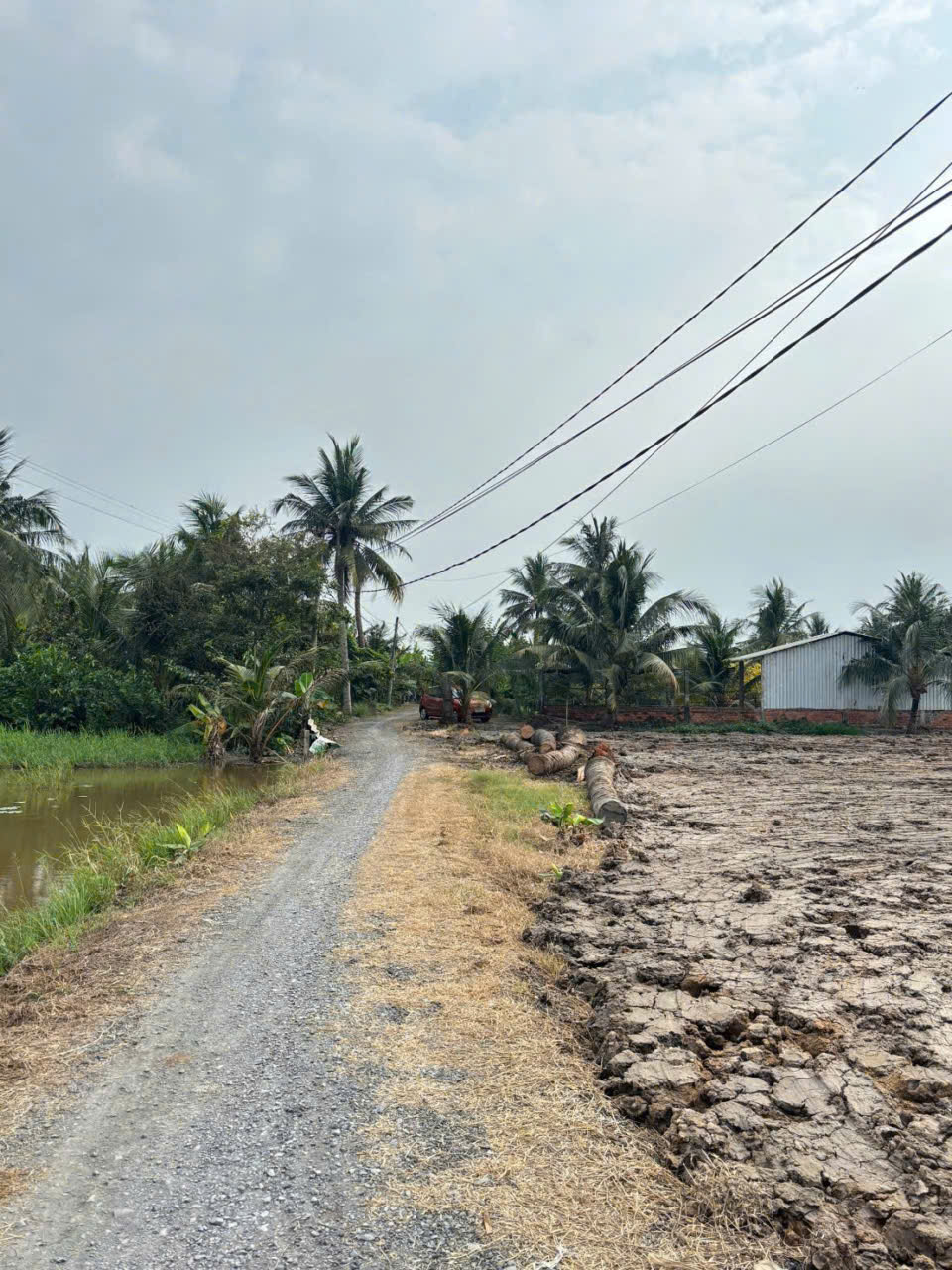 Bán đất thổ lúa đường beton xã Nhựt Chánh tdt 572m2 ( 145m2 thổ cư) giá 1,5 tỷ 2