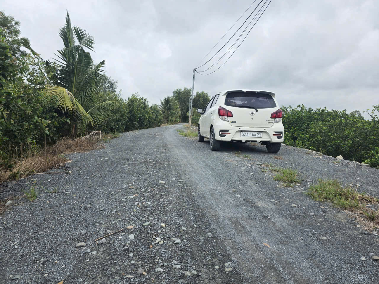 Bán đất thổ vườn đường đá xanh xe hơi Thạnh Hòa, Bến Lức tdt 16000m2 ( 2063m2 thổ) giá 15 tỷ 4