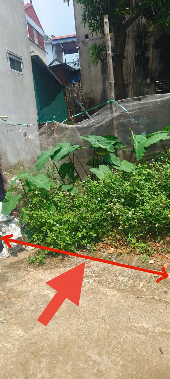 Tin được không? 45m đất Kim Hoa, Mê Linh, full thổ cư, đường rộng, oto đỗ mà giá chỉ 1,95 tỷ 3