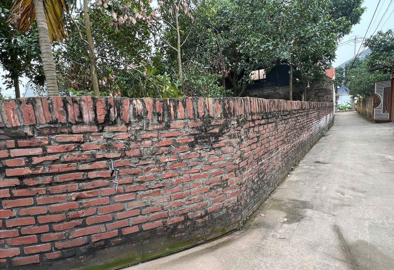 Bán gấp 180m đất thôn 4, Thạch Đà, Mê Linh, Hà Nội. Đất ở 100%. Cách chợ Thạch Đà 1,4km