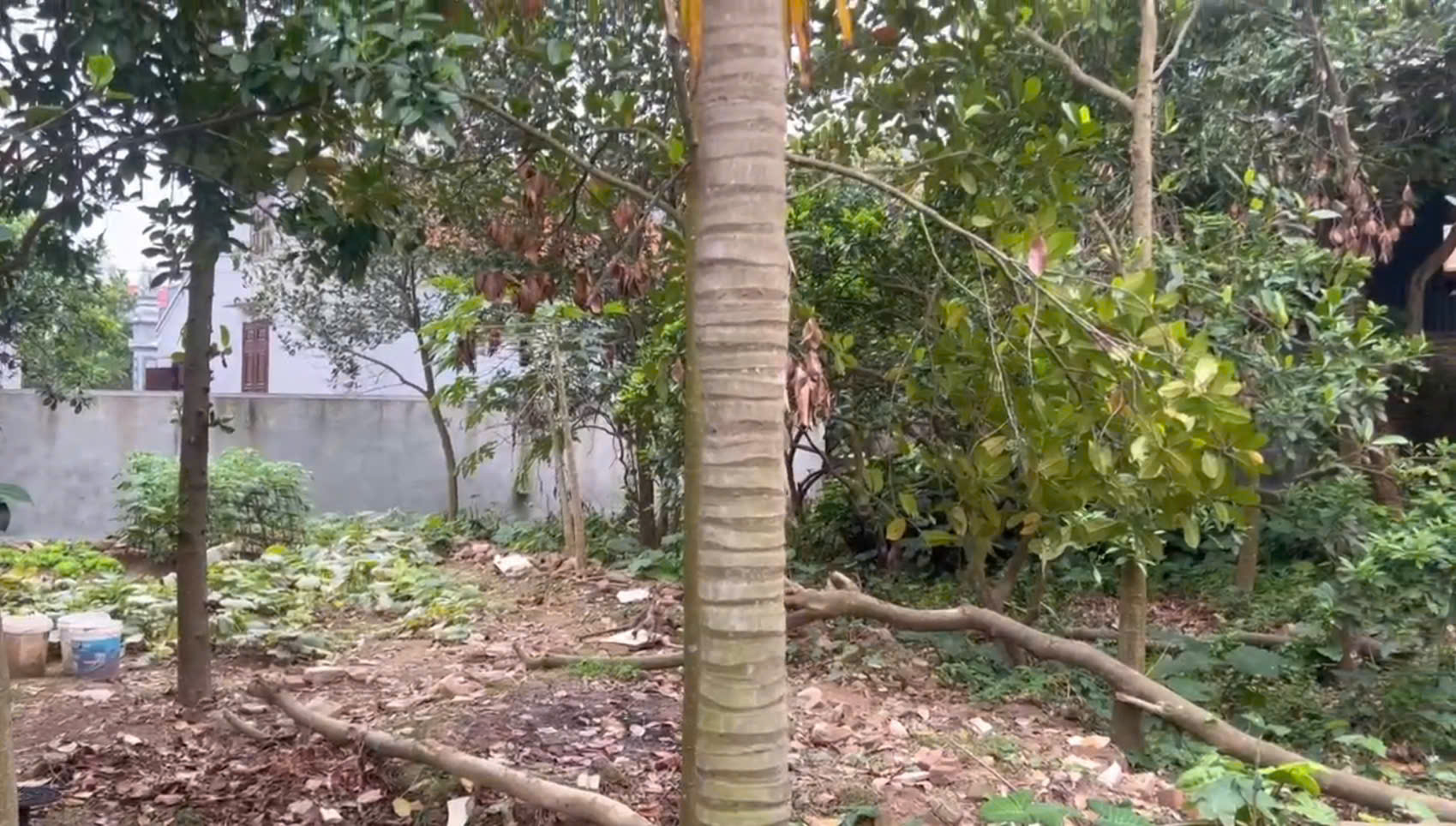 Bán gấp 180m đất thôn 4, Thạch Đà, Mê Linh, Hà Nội. Đất ở 100%. Cách chợ Thạch Đà 1,4km 3