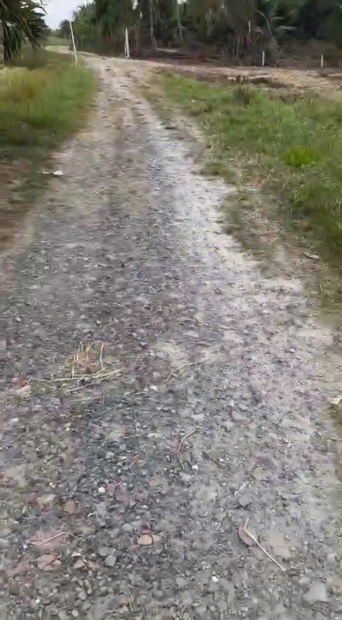 Bán đất thổ cư xã Hậu Nghũa , Đức Hòa dt 400m2 full thổ giá 2,4 tỷ