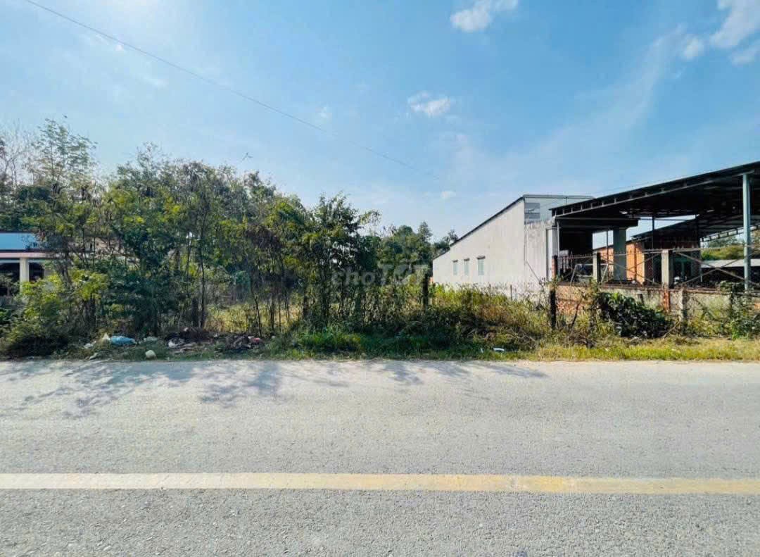 HÀNG VIP MẶT TIỀN NHỰA AN NHƠN TÂY – NGANG 20M – HƠN 1.300M² CHỈ 11 TỶ!