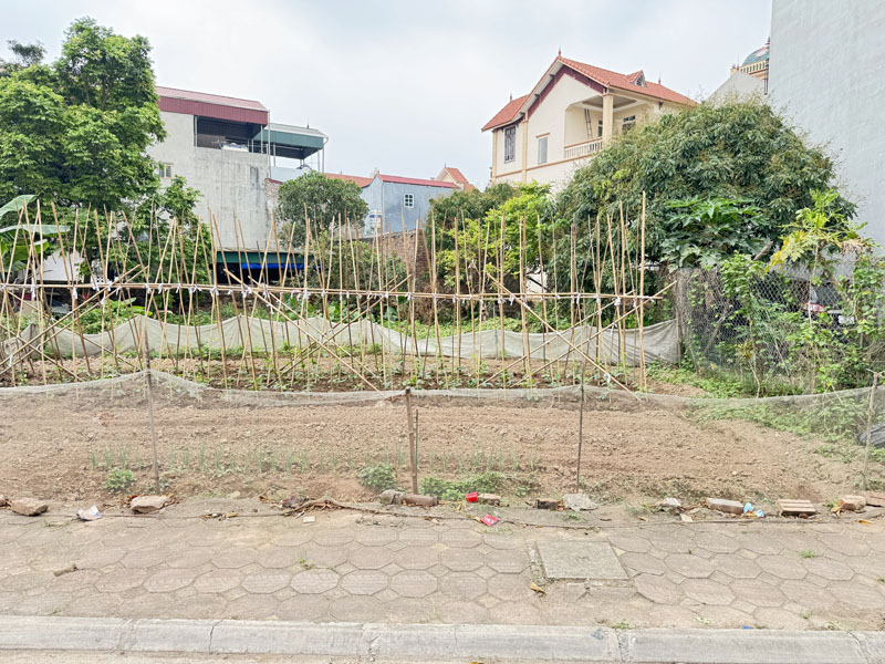 Bán đất đấu giá Đổng Xuyên 68,8m2 - Đường rộng thênh thang - Gần đường gom DT20 (Đê Vàng) 6