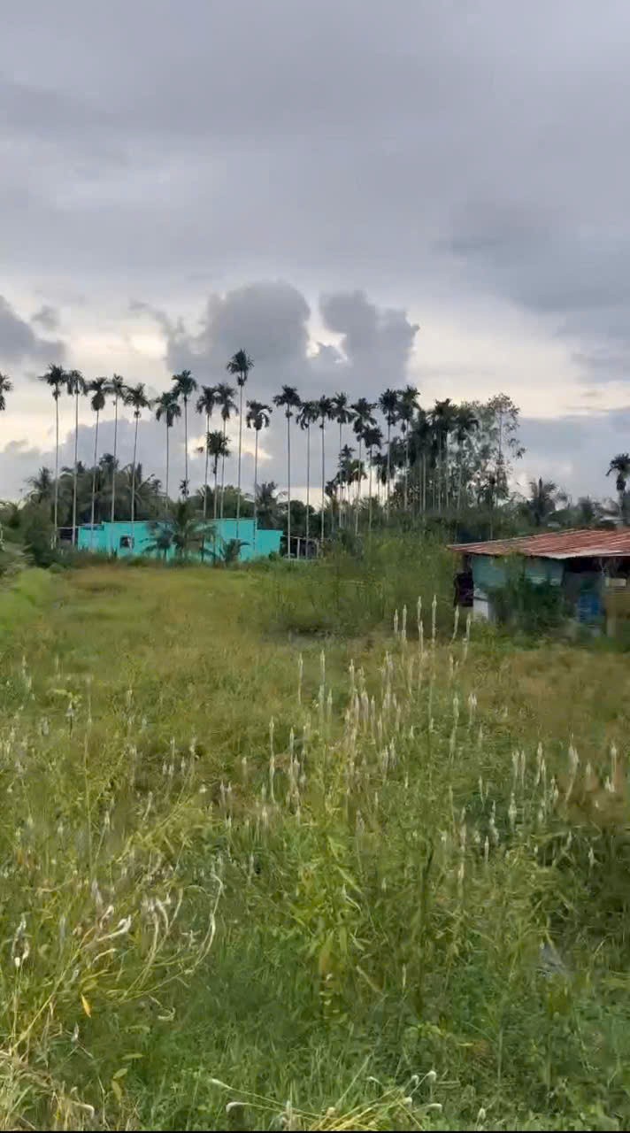 Bán đất mặt tiền đường beton xã Hòa Khánh Tây tdt 1350m2 ( 400m2 thổ) giá 2,7 tỷ 2