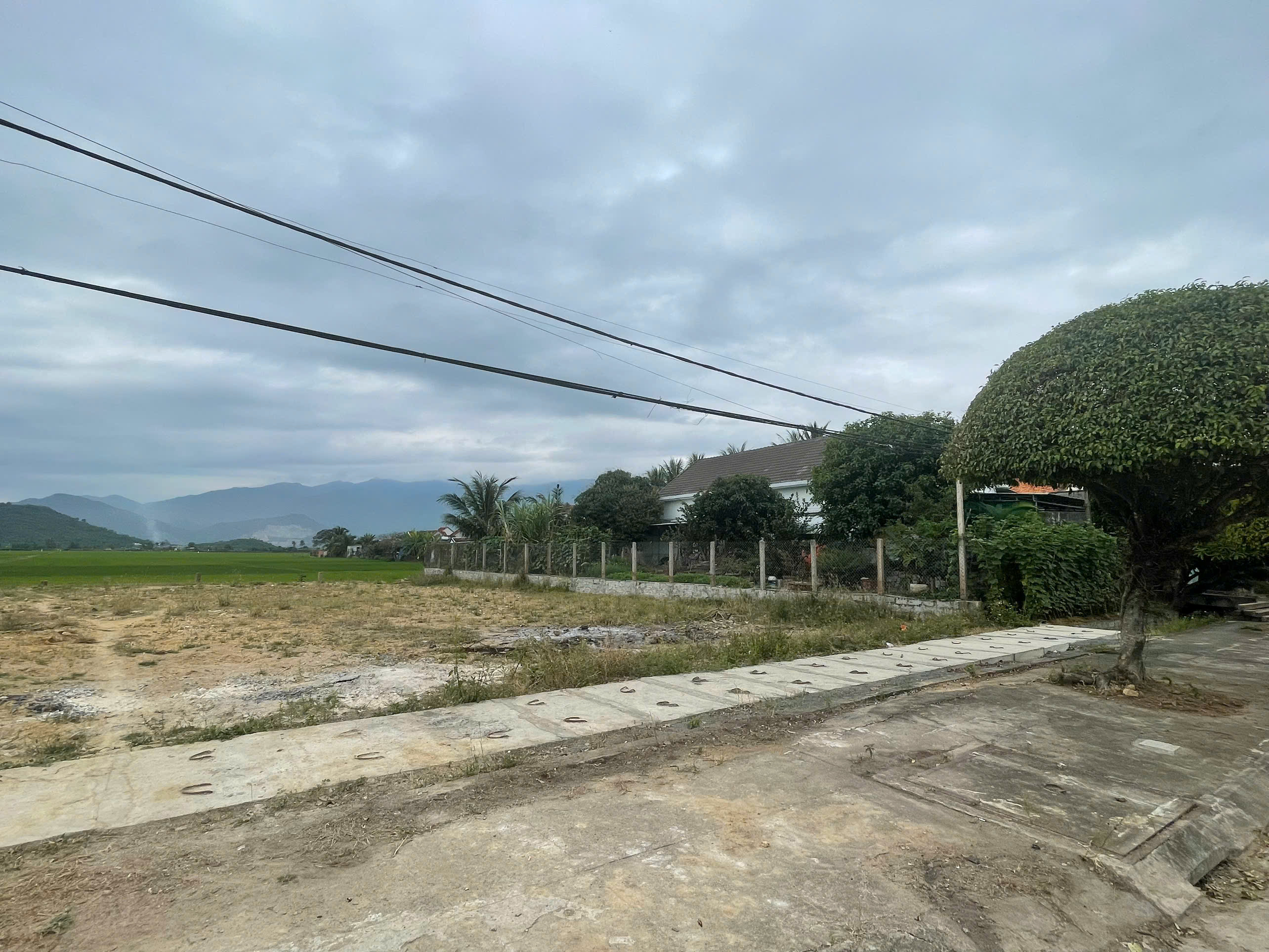 Cần bán Đất Phường Ninh Giang, Ninh Hòa, Diện tích 190m², Giá 1.52 Tỷ 4