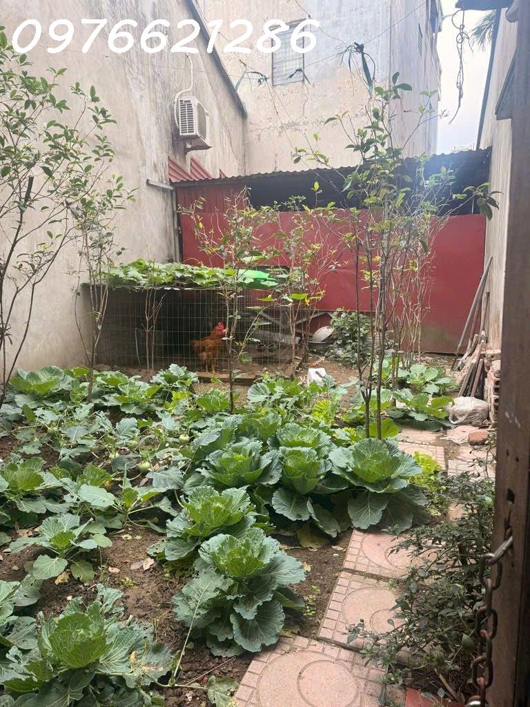 Bán đất Thanh Am – Long Biên – 40m² – Giá chỉ 5,2 tỷ