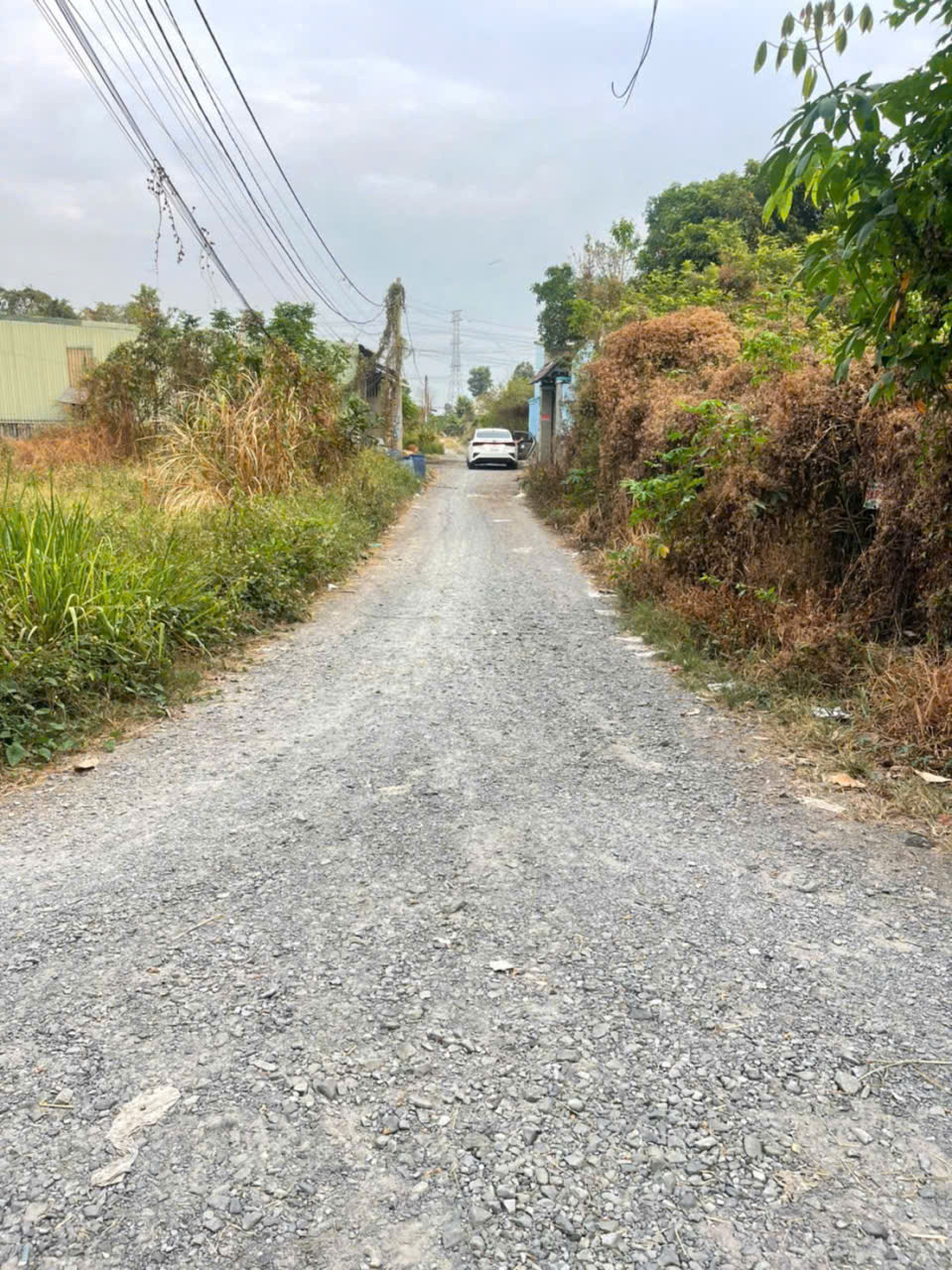 Bán đất thổ cư hẻm xe hơi đường đá xanh xã Tân Thạnh Đông dt 174m2 giá 2,3 tỷ 2