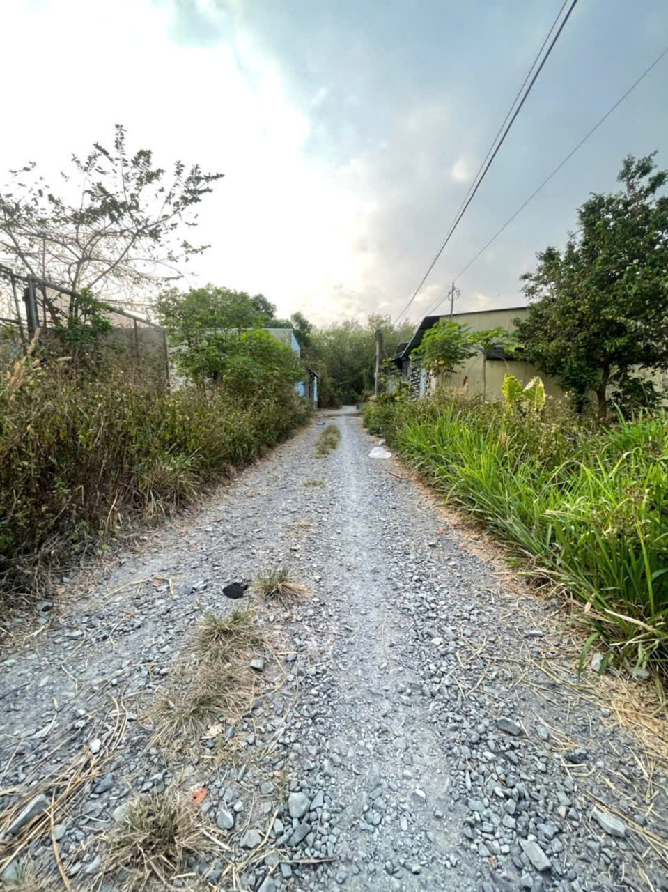 Bán đất thổ cư hẻm xe hơi đường đá xanh xã Tân Thạnh Đông dt 174m2 giá 2,3 tỷ 3