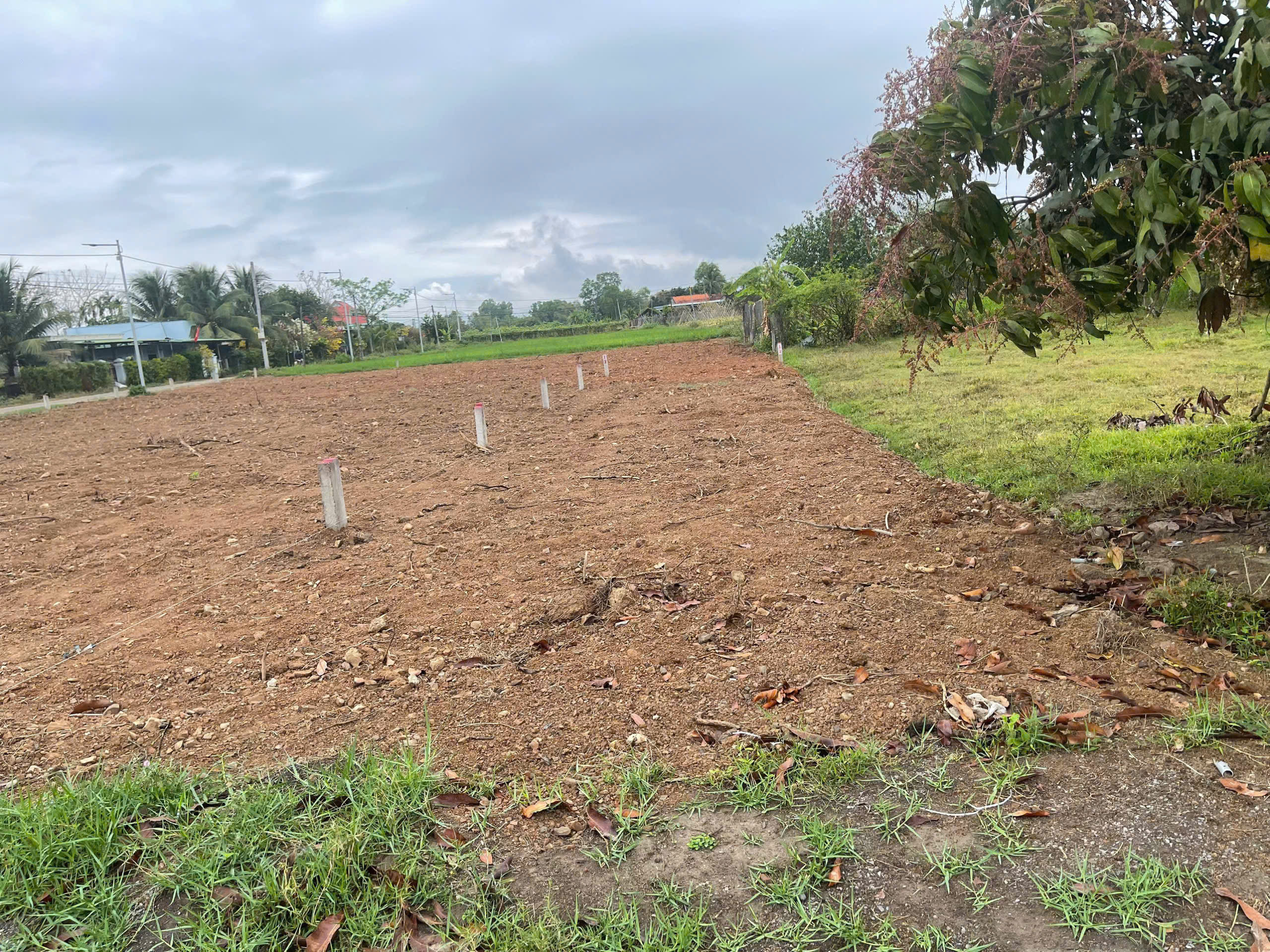 Cần bán Đất Xã Ninh Trung, Ninh Hòa, Diện tích 120m², Giá 250 Triệu 3