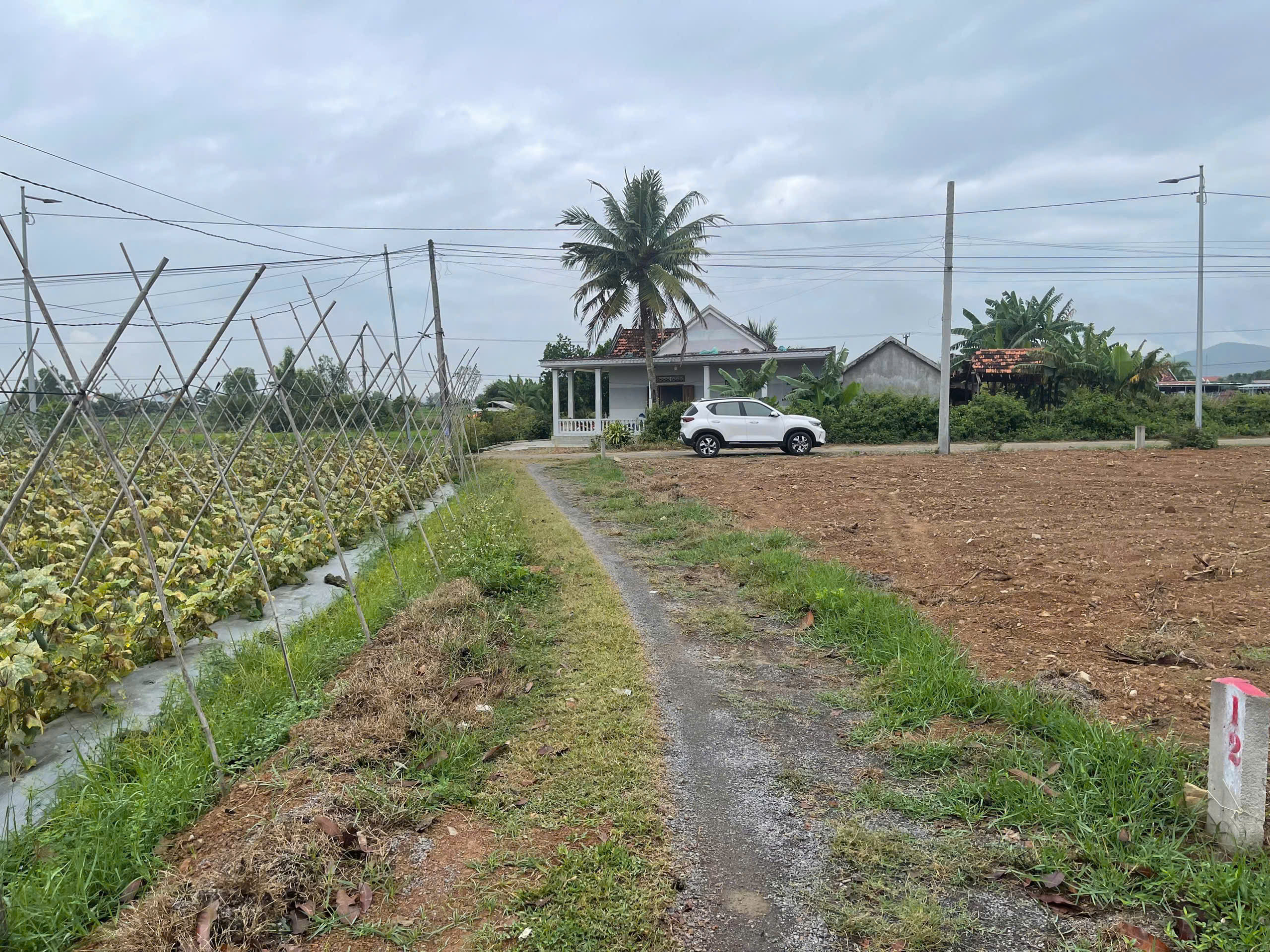 Cần bán Đất Xã Ninh Trung, Ninh Hòa, Diện tích 120m², Giá 250 Triệu 2