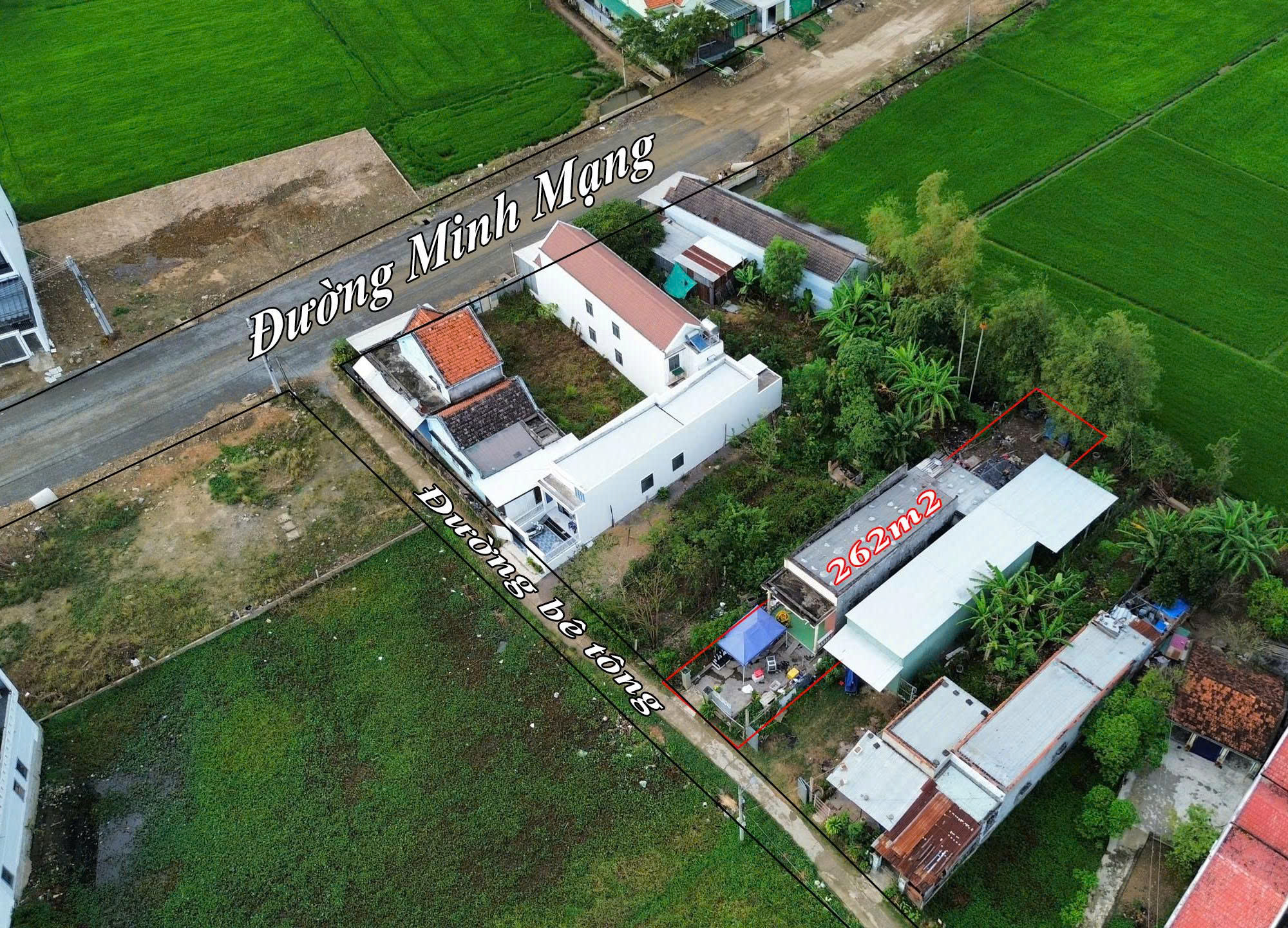 Cần bán Đất Phường Ninh Hiệp, Ninh Hòa, Diện tích 262m², Giá 1.95 Tỷ 3