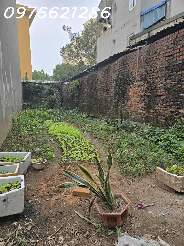 BÁN ĐẤT Ô CÁCH – LONG BIÊN – 63M² – HAI THOÁNG – NGÕ THẲNG – GIÁ 7,7X TỶHÀNG CỰC HIẾM – CƠ