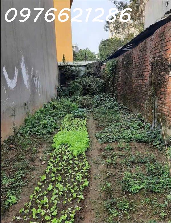 BÁN ĐẤT Ô CÁCH – LONG BIÊN – 63M² – HAI THOÁNG – NGÕ THẲNG – GIÁ 7,7X TỶHÀNG CỰC HIẾM – CƠ 2