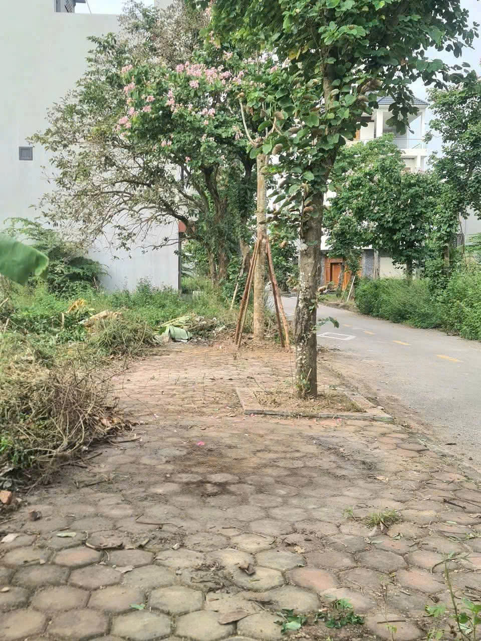 Cần bán Đất Phường Nhị Châu, Hải Dương, Diện tích 245m², Giá 175 Triệu/m²