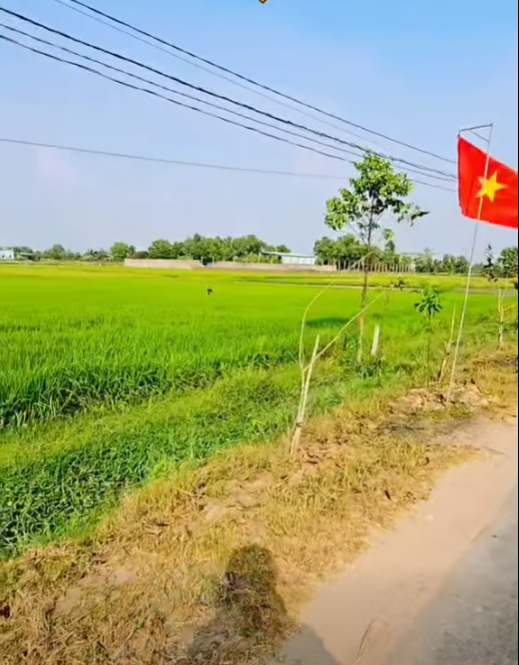 Bán đất mặt tiền đường nhựa xã Đức Hòa Thượng tdt 1700m2 ( 220m2 thổ ) giá 2,85 tỷ 4