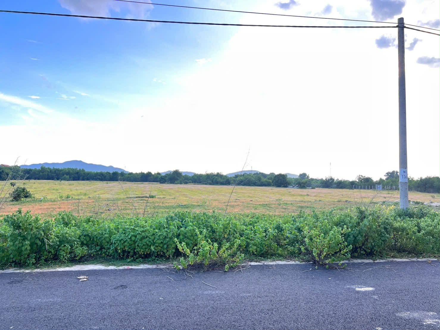 Cần bán Đất đường Võ Văn Kiệt, Thị trấn Phước Hải, Diện tích 195m², Giá 1.45 Tỷ 4