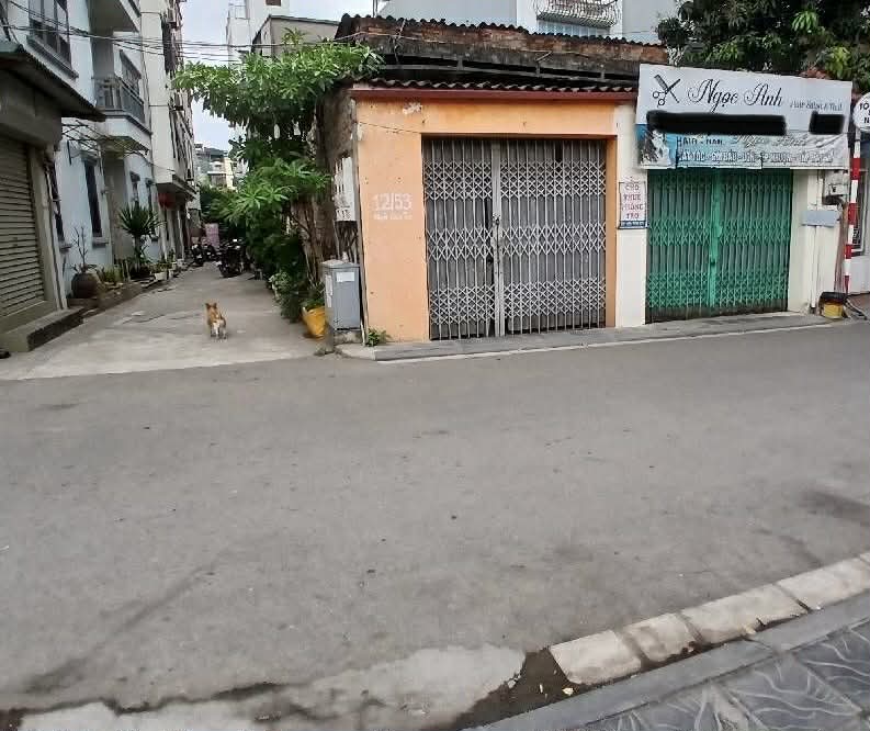 nhà lô góc mặt phố Long Biên, 100m, mặt tiền 7.3m, ôtô 2 chiều 5