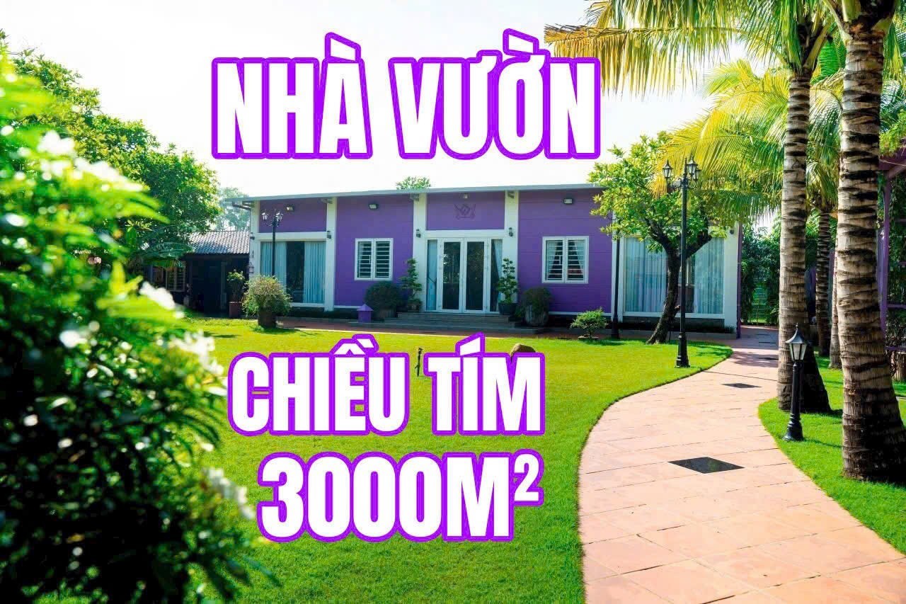 NHÀ VƯỜN MÀU TÍM – BÌNH MỸ, CỦ CHI – KHÔNG GIAN SỐNG LÝ TƯỞNG