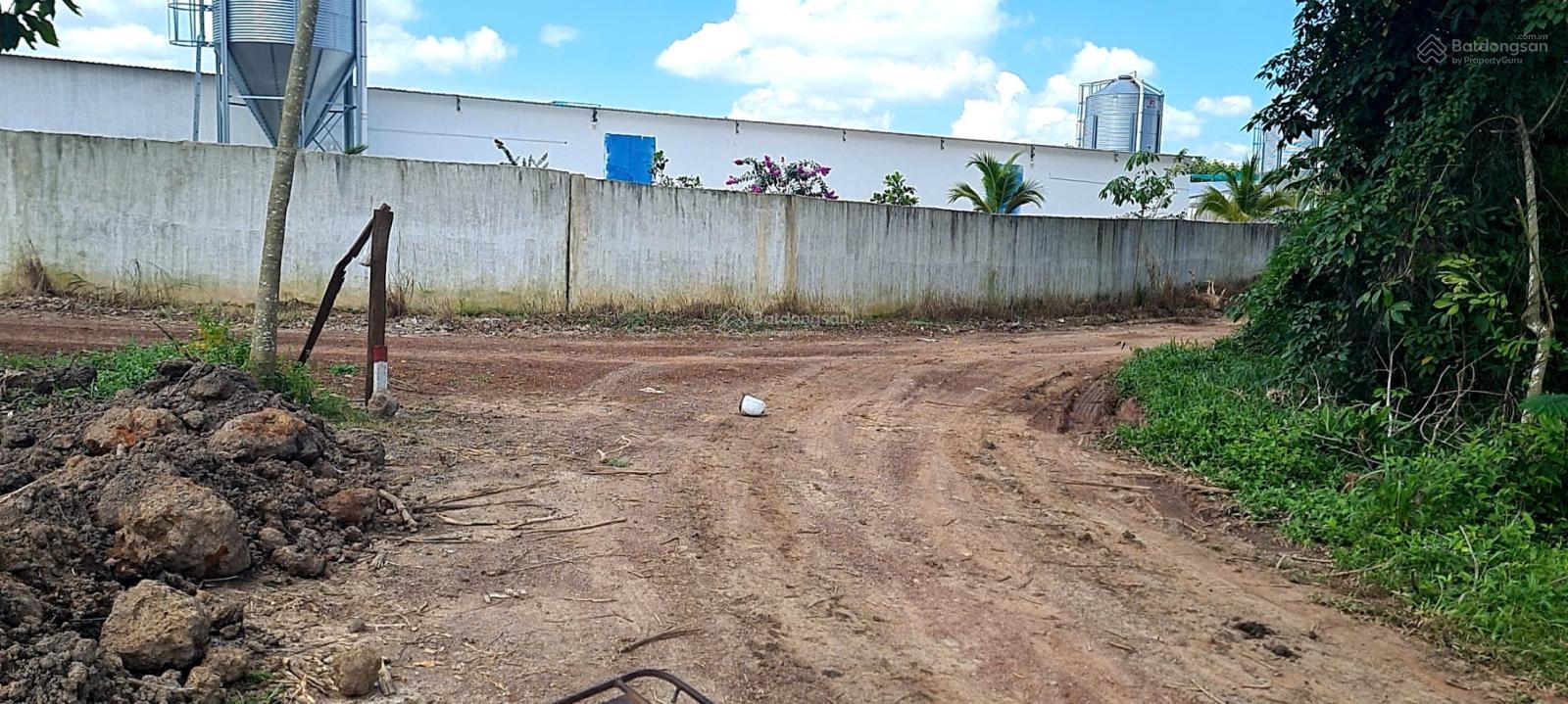 Cho thuê đất trống CLN tại xã An Long, TP. HCM, diện tích 4,5ha 2