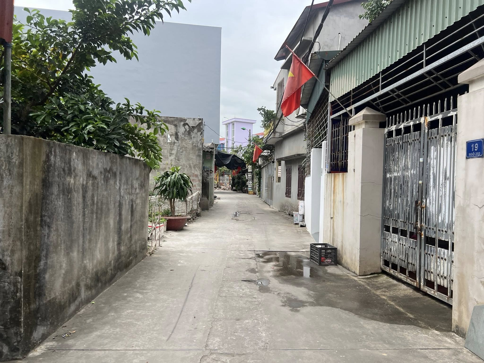 Bán lô đất mặt ngõ 293 Nguyễn Lương Bằng, ph Thanh Bình, TP HD, 60m2, mt 4.3m, ngõ oto 2