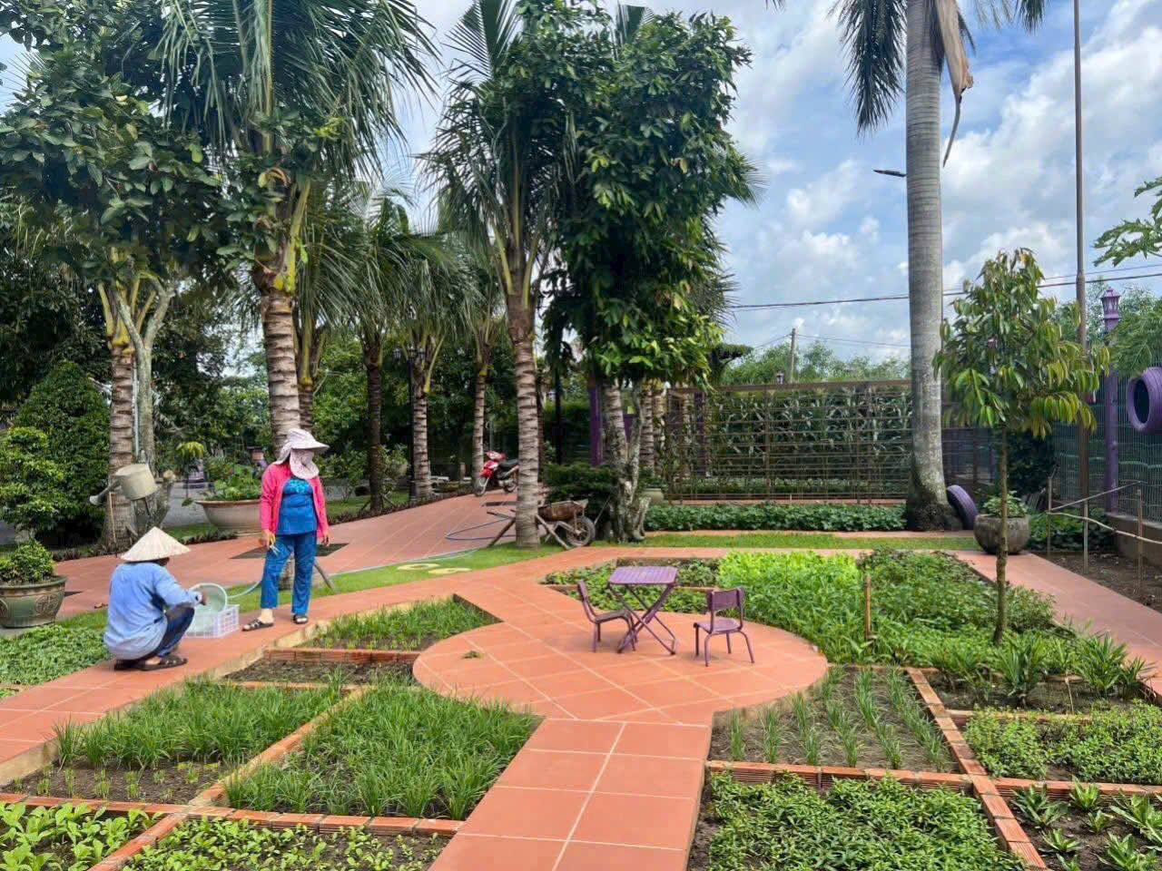 NHÀ VƯỜN MÀU TÍM – BÌNH MỸ, CỦ CHI – KHÔNG GIAN SỐNG LÝ TƯỞNG 4