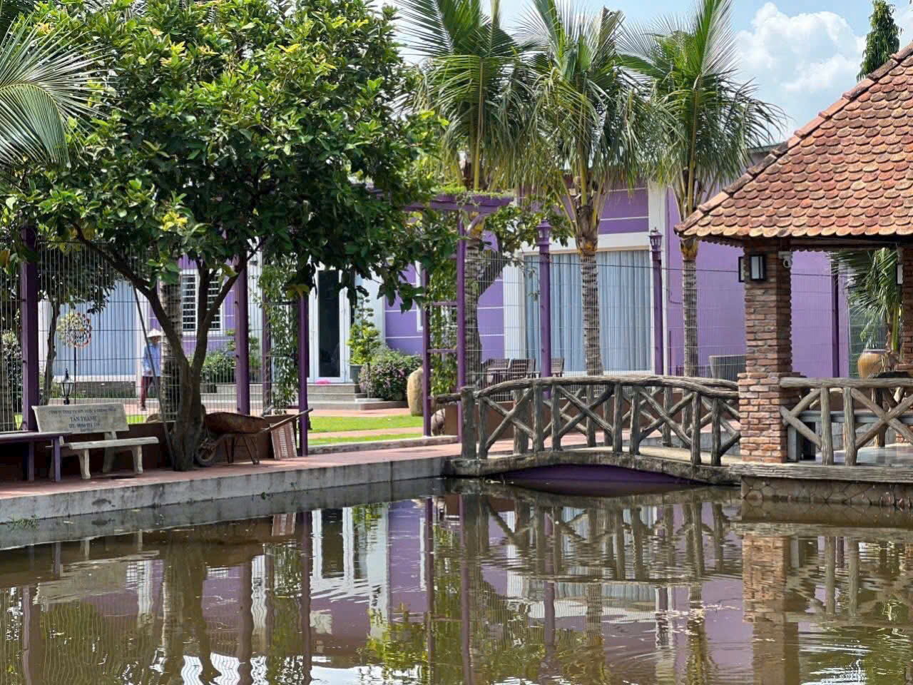 BÌNH MỸ – “NHÀ VƯỜN MÀU TÍM” 3.000M² NGỘP NGÂN HÀNG – GIẢM SỐC 2 TỶ 5