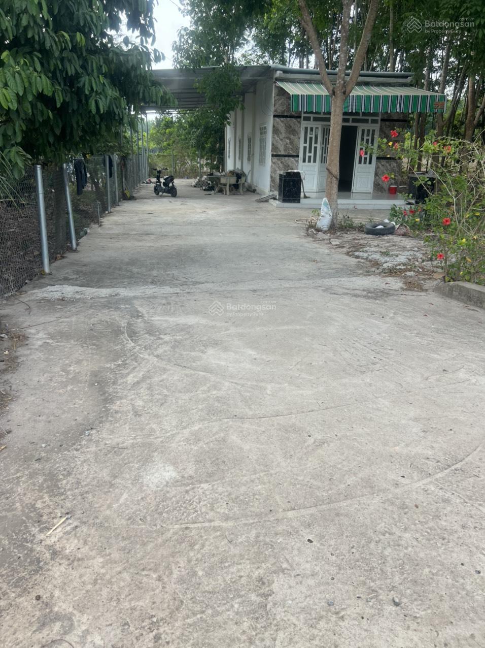 Cho thuê 4.240m2 đất thổ cư đường DT741C rộng 22m có nhà mặt tiền 80m 11