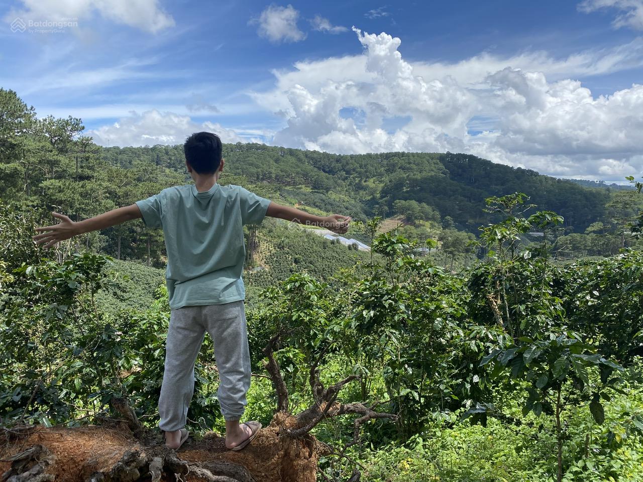 Cho thuê 10.600m2 đất vườn cafe Sim Tím MT QL20, HXH Đà Lạt 11