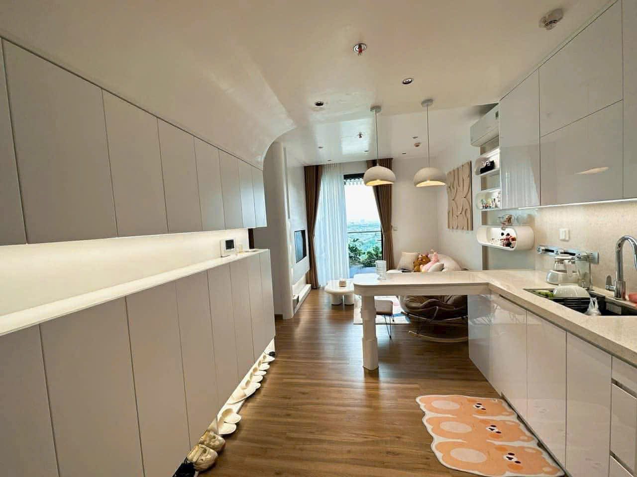 Bán căn chung cư khu Ecopark Tp Hải Dương, ph Hải Tân, TP HD, 51m2, 2 ngủ, 1vs, cực đẹp 11