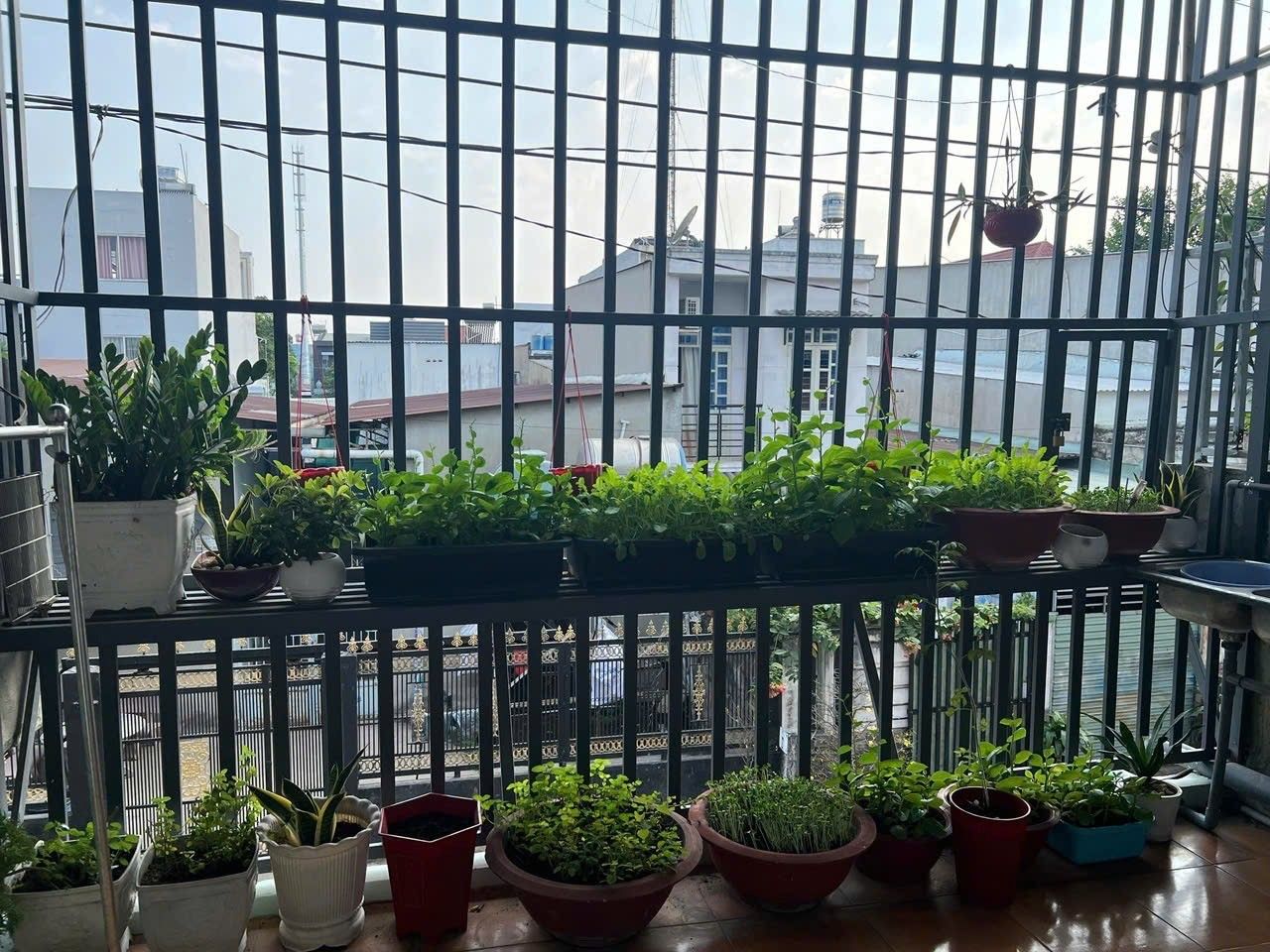 NHÀ 44M2 2 TẦNG SHR – HẺM XE HƠI LÝ THƯỜNG KIỆT DĨ AN – 2,25 TỶ 4