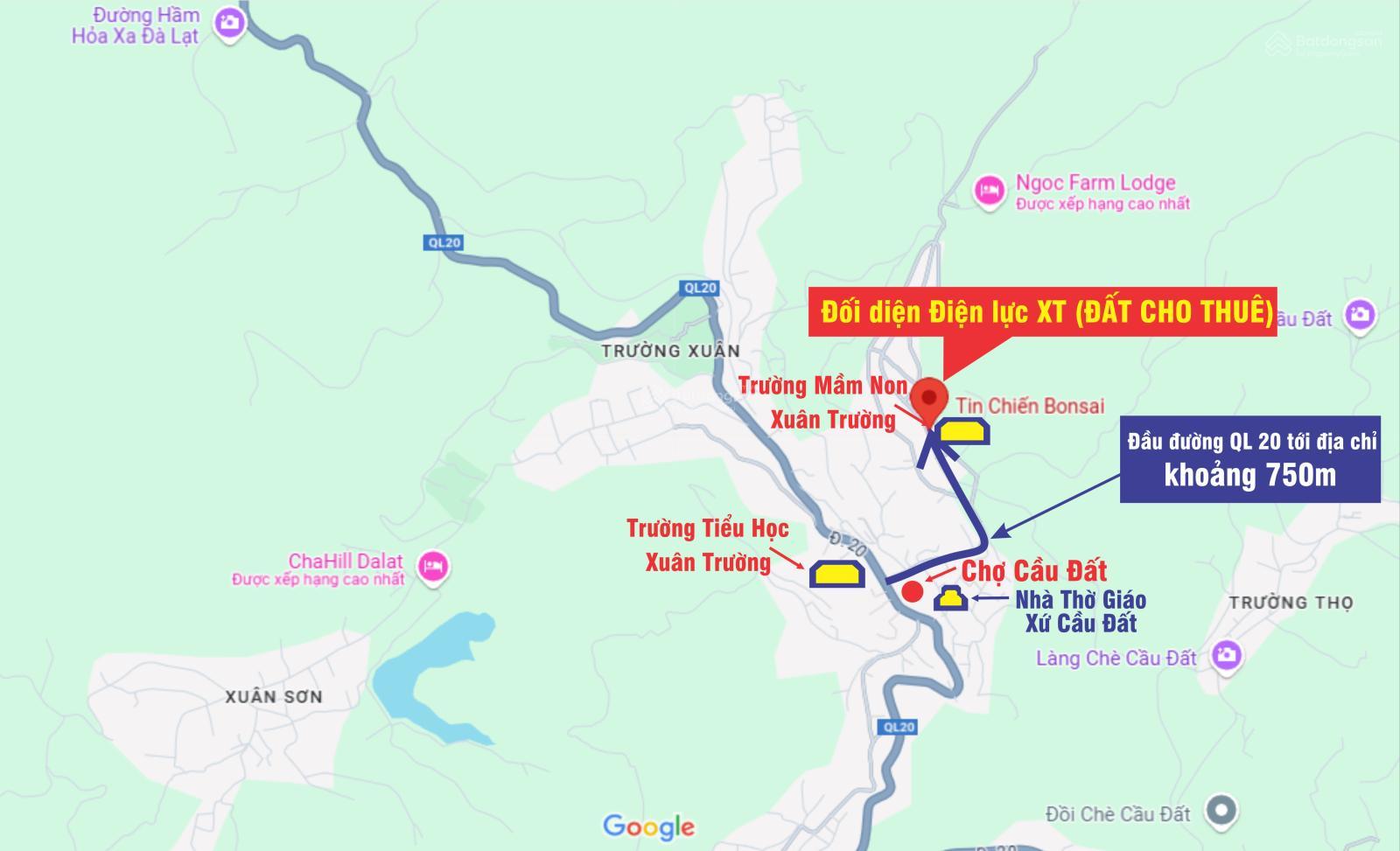 Cho thuê đất ở Đà Lạt Xuân Trường, miễn phí 1PN giá 2tr/lô/ sổ riêng 12